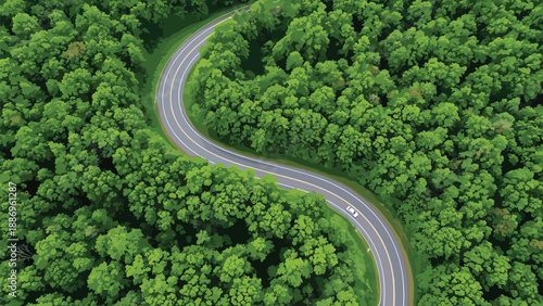 Aerial top down view of a winding asphalt road passing through a dense green forest, vector illustration for travel and nature background design concepts.