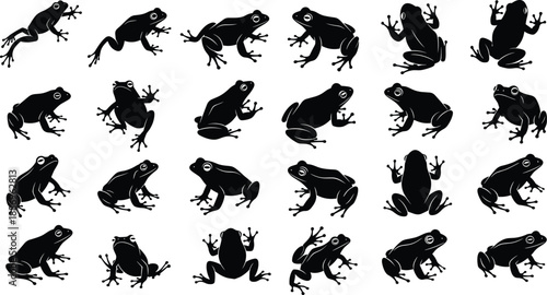 Black silhouette set of frogs in various poses and movements, amphibian animal collection, wildlife illustration isolated on white background for design, education, and nature concepts
