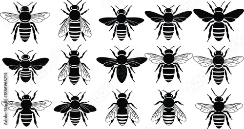 Set of bee silhouettes in different wing positions, black insect vector icons collection, honeybee shapes isolated on white background for nature and design use