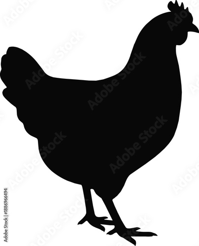 Black chicken silhouette isolated on white background, vector icon of domestic farm poultry bird, hen profile for butchery, organic meat,