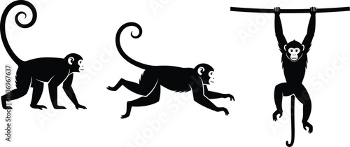 Monkey silhouette poses, animal movement, hanging, running, standing, tail balance, jungle behavior, black and white drawing, wildlife concept