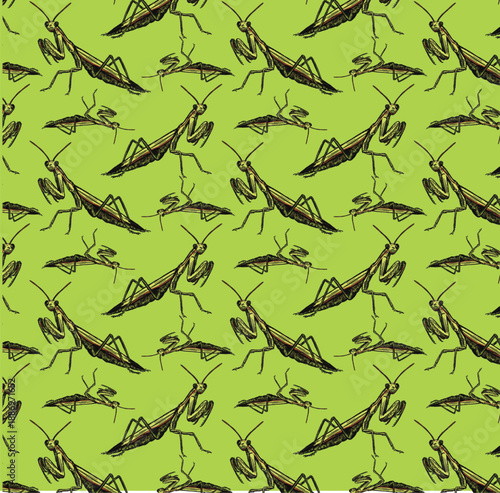 Praying Mantis Repeat Pattern Design, Seamless Print Background