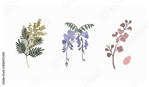 Decorative Floral Vector Illustration with Mimosa Wisteria and Sakura Branches