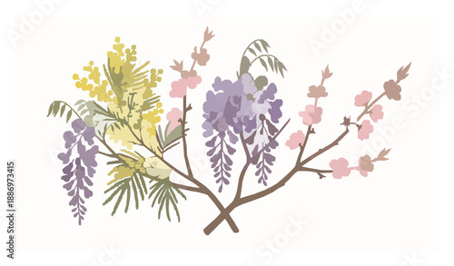 Minimal Botanical Branch Vector Set with Mimosa Wisteria and Sakura Flowers