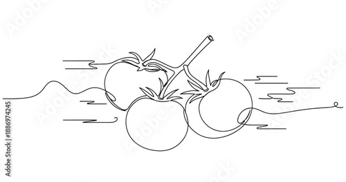 Minimalist line art of tomato cluster with stems. Non editable stroke