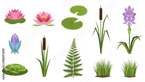 Low Poly Collection of stylized aquatic plants and wetland flora in a flat design style