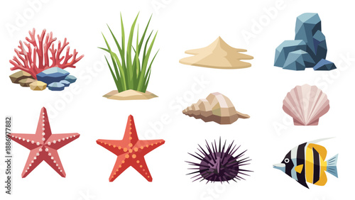 Colorful marine life and beach elements in flat design