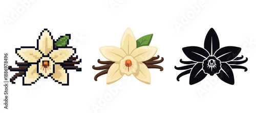 Three vanilla flower styles: pixel, realistic, silhouette illustration with leaves and pods