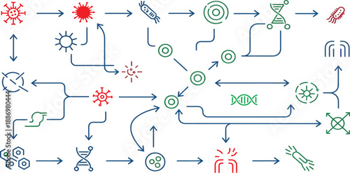 Scientific diagram illustrating cellular processes and molecular interactions in a complex flowchart