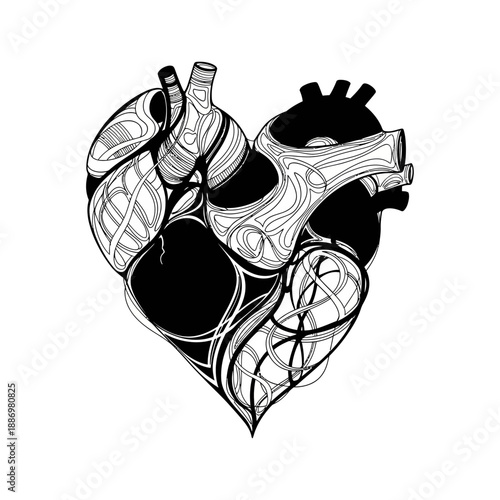 Anatomical Heart Illustration with Detailed Design.