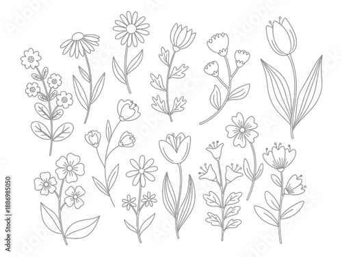 A collection of thirteen handdrawn grayline illustrations of various simple wildflowers on a white background