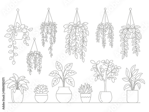 A line art illustration depicting various hanging and potted indoor plants