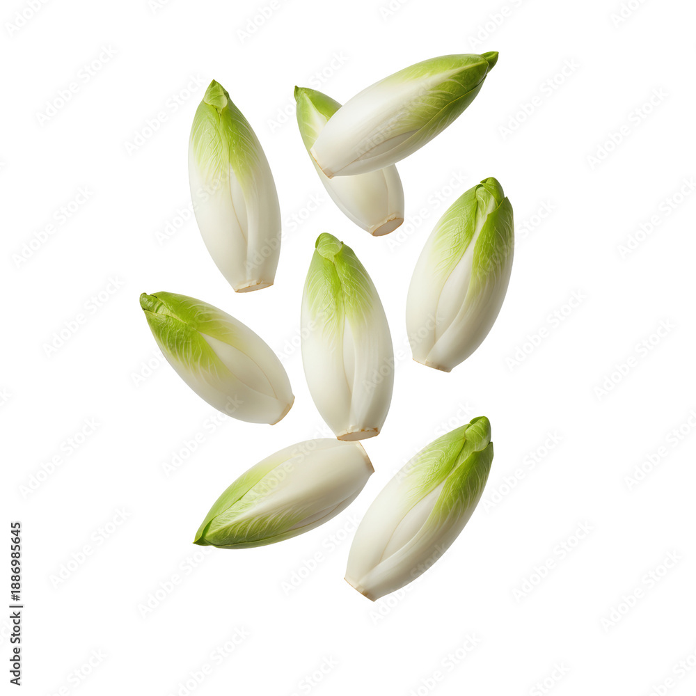 Obraz premium Fresh Endive Heads Falling Isolated on White Background