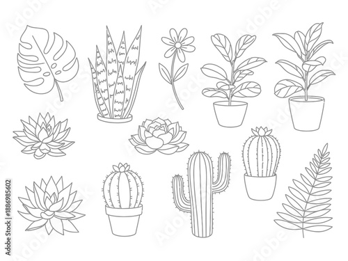 Line art illustrations of various potted and unpotted houseplants and succulents