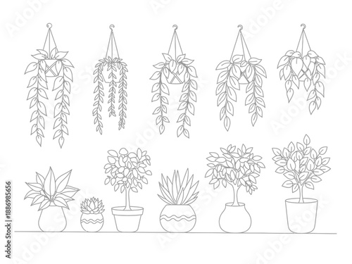 Outline drawings of ten potted and hanging houseplants on a white background