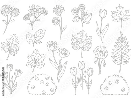 Outline drawings of various flowers leaves and shrubs on a white background