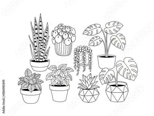Black and white outline drawing of eight potted houseplants