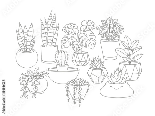 Outline drawing of various potted houseplants against a white background