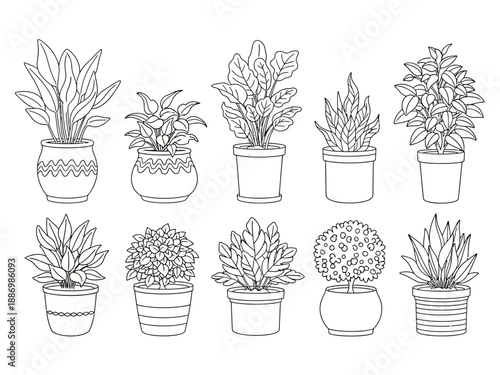 Ten blackandwhite outline drawings of potted houseplants arranged in two rows