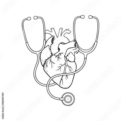 Anatomical human heart wrapped in stethoscope line art illustration. Medical vector sketch design for cardiology, nursing, doctor, and healthcare concept.
