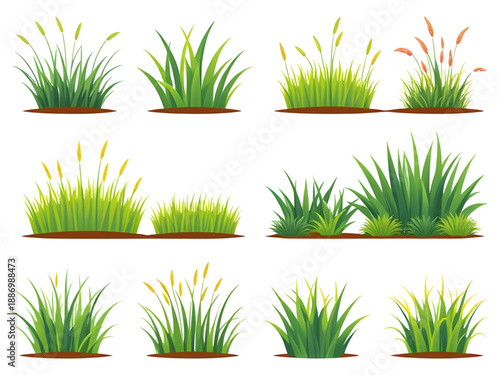 grass, green, lawn, meadow, field, nature, plants, foliage, turf, greenery, fresh, spring, summer, outdoor, landscape, ground, soil, eco, environment, ecology, growth, blades, leaves, texture, backgro