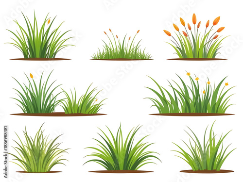 grass, green, lawn, meadow, field, nature, plants, foliage, turf, greenery, fresh, spring, summer, outdoor, landscape, ground, soil, eco, environment, ecology, growth, blades, leaves, texture, backgro