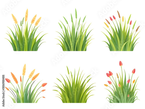 grass, green, nature, meadow, lawn, field, plant, foliage, greenery, turf, fresh, outdoor, landscape, spring, summer, soil, ground, eco, ecology, environment, growth, leaf, blades, texture, background