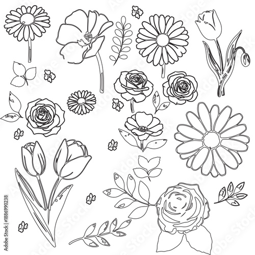 Velantine Day Flowers/ Flowers of Love