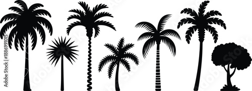 Palm tree silhouette collection, diverse tropical vector set for summer, beach, island, and vacation design projects including travel branding, resort graphics, and coastal decor concepts