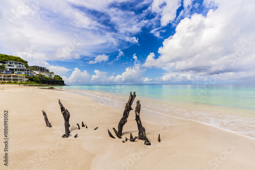 View of bleached driftwood stands stark against the soft, golden sand meeting the turquoise sea beneath a sky alive with fluffy clouds, Antigua, Antigua and Barbuda.