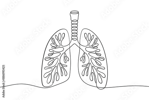Continuous line drawing of human lungs anatomical illustration medical artwork