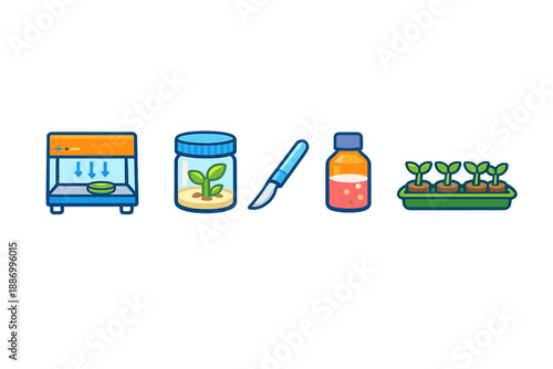 Different steps in plant growth and preparation process including various tools and containers used in gardening