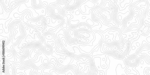 Minimal white line geometric grid outline curve counter map and wavy topography relief discovery area white, black line texture background.