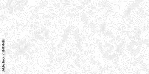 Minimal white line geometric grid outline curve counter map and wavy topography relief discovery area white, black line texture background.
