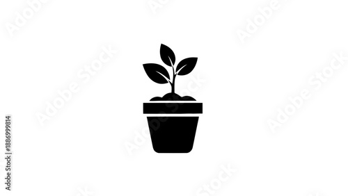 Vector illustration of a vibrant small plant in a pot, symbolizing growth and nature, on transparent background