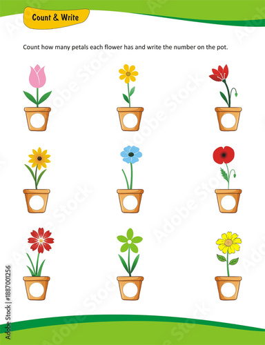 Counting petals, flower counting worksheet, number writing activity, count and write, preschool math, kindergarten math, early learning worksheet, counting skills,