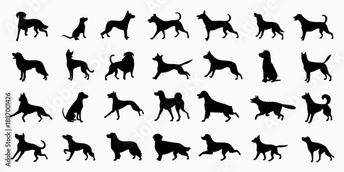 Silhouette collection of various dog breeds in different walking and standing poses