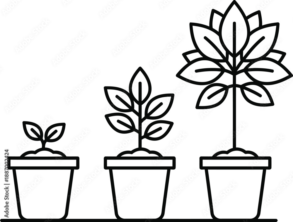 Fototapeta premium A line illustration showing the progression of plant growth from seedling to flower