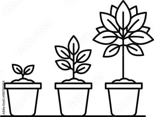A line illustration showing the progression of plant growth from seedling to flower