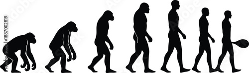 Silhouettes showing human evolution from ape to modern man with paddle for science, anthropology, motion, and vector design content