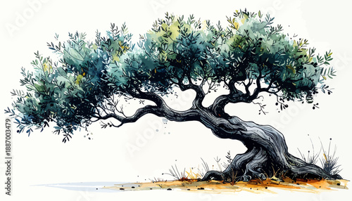 Vibrant watercolor painting of an ancient, gnarled olive tree, richly detailed with lush green leaves and ripening olives, evoking the timeless beauty of Mediterranean landscapes and rustic charm