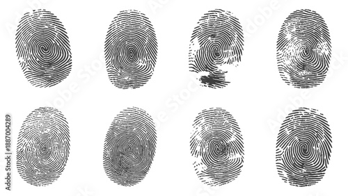 Vector black fingerprint background. Detailed fingerprint on grunge background symbolizing identity verification.