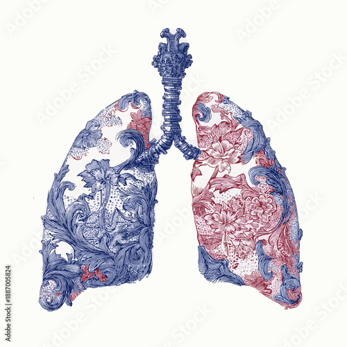 Stylized lungs displaying rich blue and red ornamental designs against a white background. Decorative human lungs drawing with intricate patterns