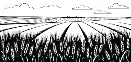 vector art of black and white illustration of a wheat field under a cloudy sky, with rolling hills in the background, depicting rural landscape, agriculture, nature, and farmland scenery.