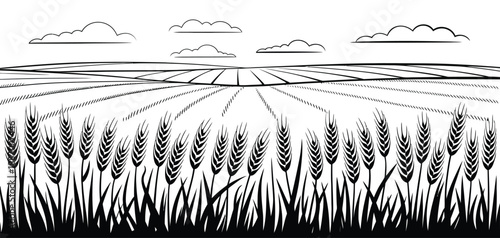 vector art of black and white illustration of a wheat field under a cloudy sky, with rolling hills in the background, depicting rural landscape, agriculture, nature, and farmland scenery.