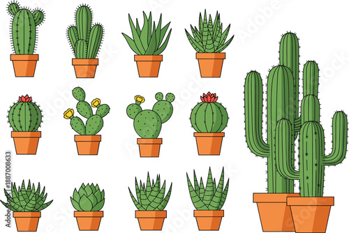 Cute cactus and succulent plants collection in pots, flat vector illustration set for home decor and nature themes