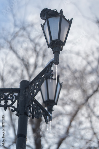Winter city Park. Icicles on an old lamppost. The sleeping pigeon. A sunny January day. After a heavy overnight snowfall. New Year's Morning.