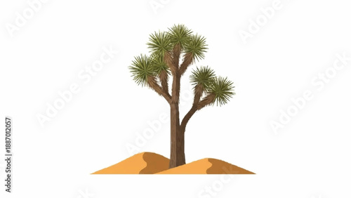 Stylized illustration of a Joshua tree with its unique spiky leaves and branching arms, situated in a small patch of desert sand.