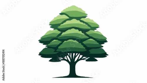 Stylized and graphic illustration of a pine or cedar tree with layered, geometric green foliage and a simple trunk on a white background.
