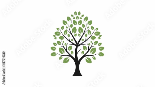 Clean and simple illustration of a symmetrical tree with a black trunk and branches, adorned with fresh green leaves on a white background.